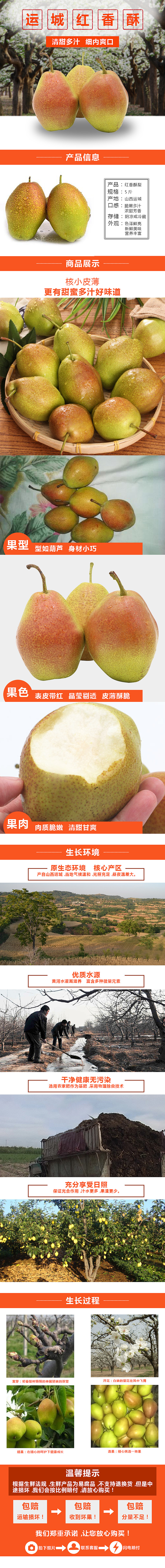 红香酥梨详情页