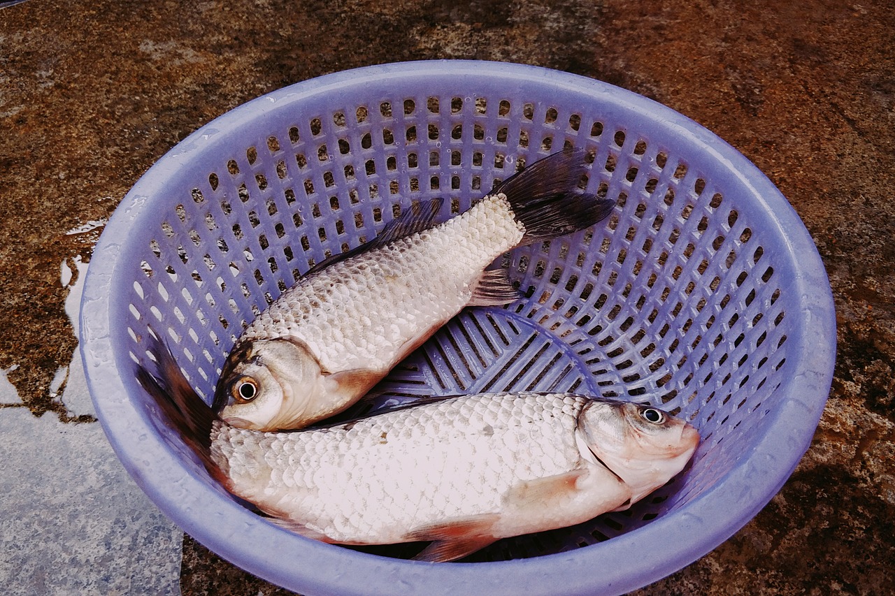 新冠期间的湖北