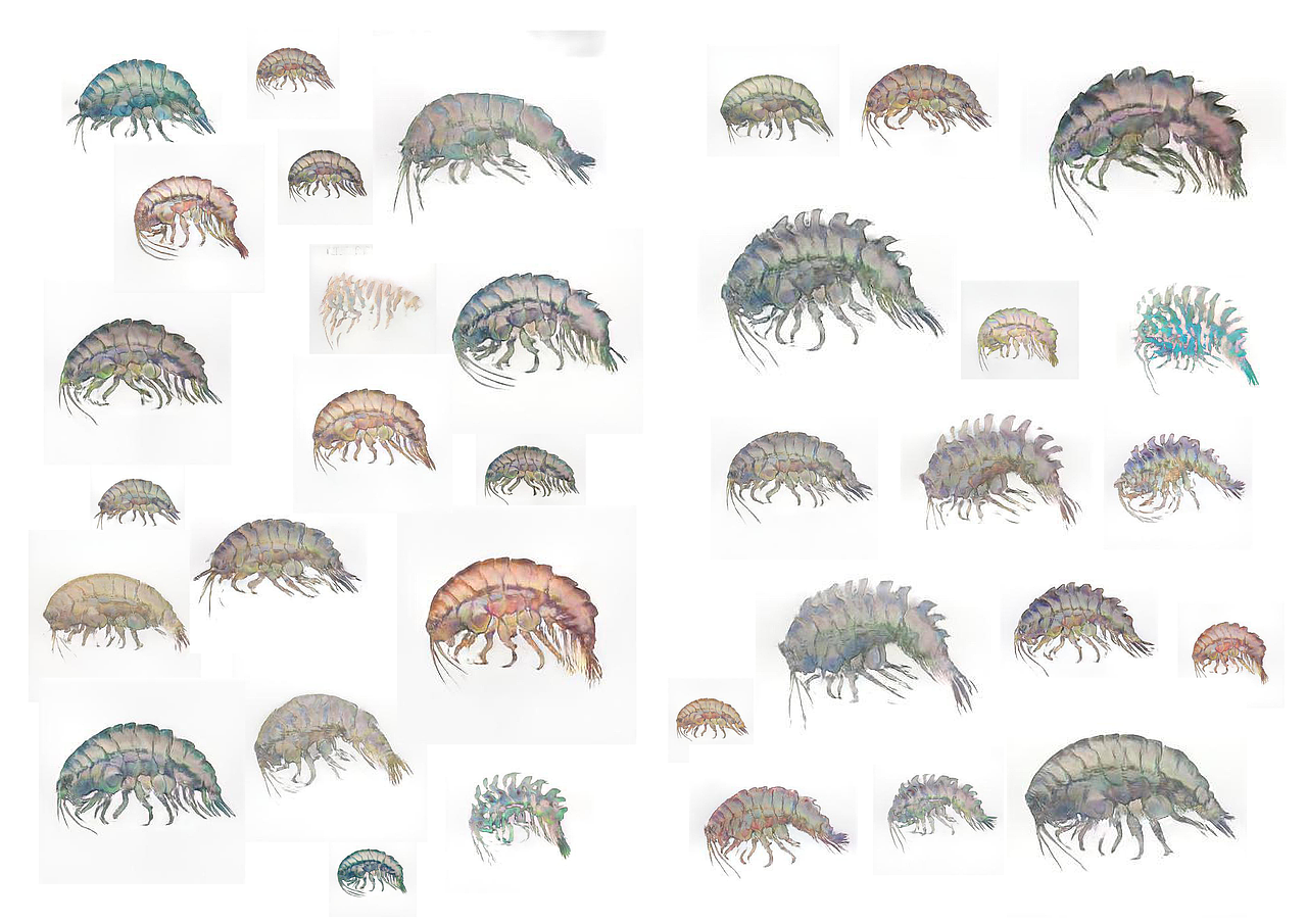 【毕业设计】实验性文本 「超然」存在于我体内（图ZMjU2MjkxODE2） - 书籍/画册 - 站酷设计师Hikariii原创素材 - 站酷ZCOOL