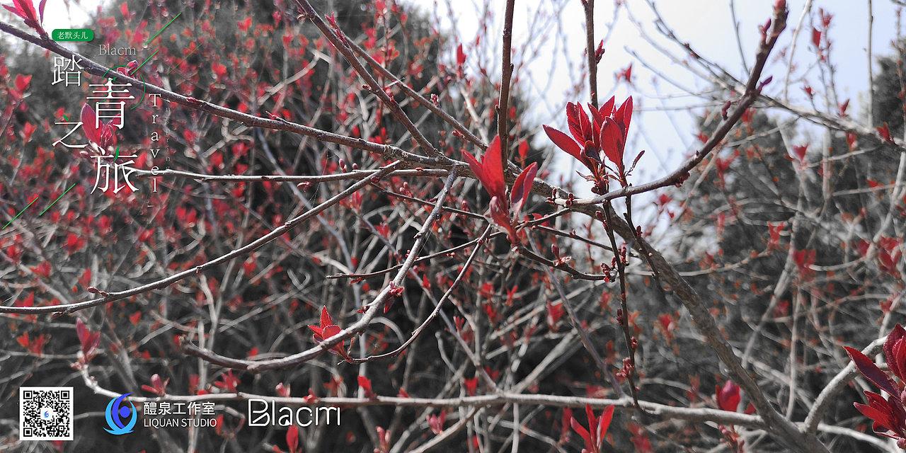 Blacm的踏春之旅（图ZMjA0NTIyMzQ0） - 风光摄影 - 站酷设计师Blacm原创素材 - 站酷ZCOOL