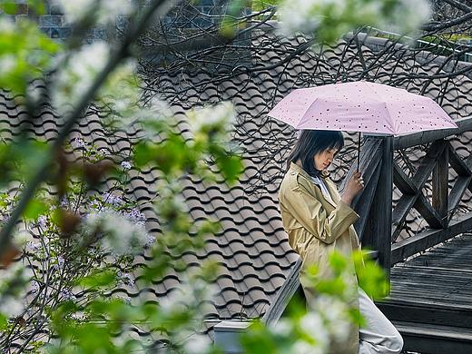 雨/伞（2）