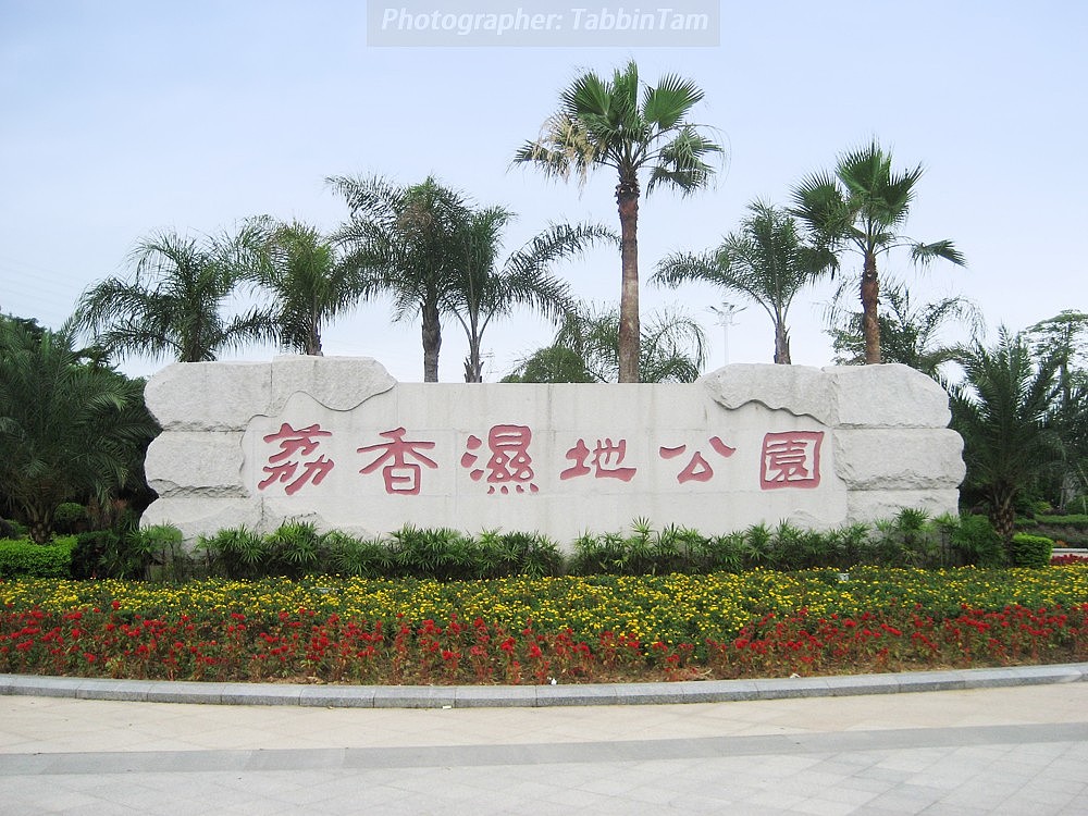 东莞大朗荔香湿地公园