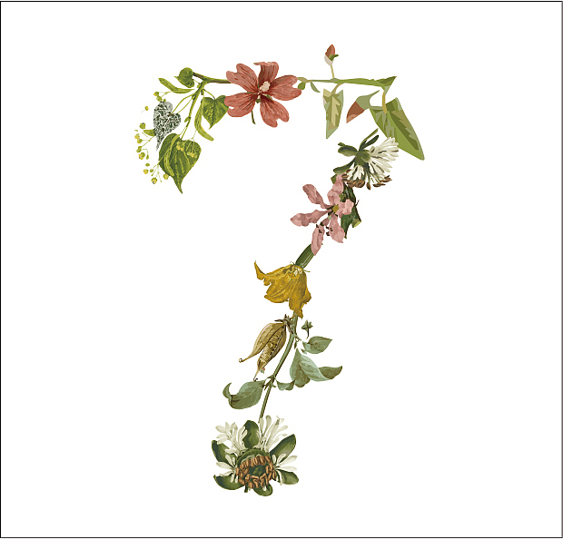 方瀛插画系列一之数字与昆虫（图ZMTEyNTg3OTY=） - 图案 - 站酷设计师方瀛CRain原创素材 - 站酷ZCOOL