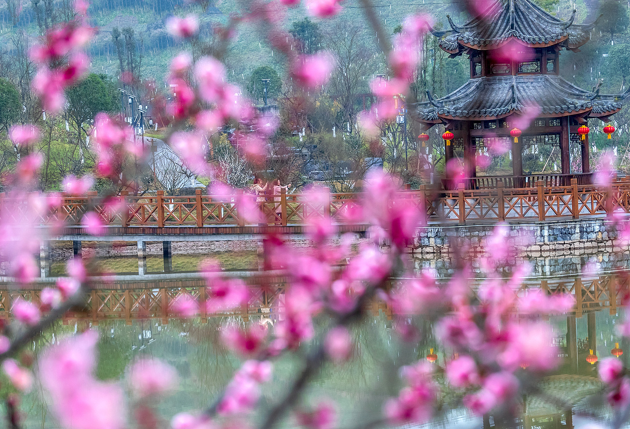 2019年1月30日,游客在重庆市南川区生态大观园梅花园里寻梅迎春。