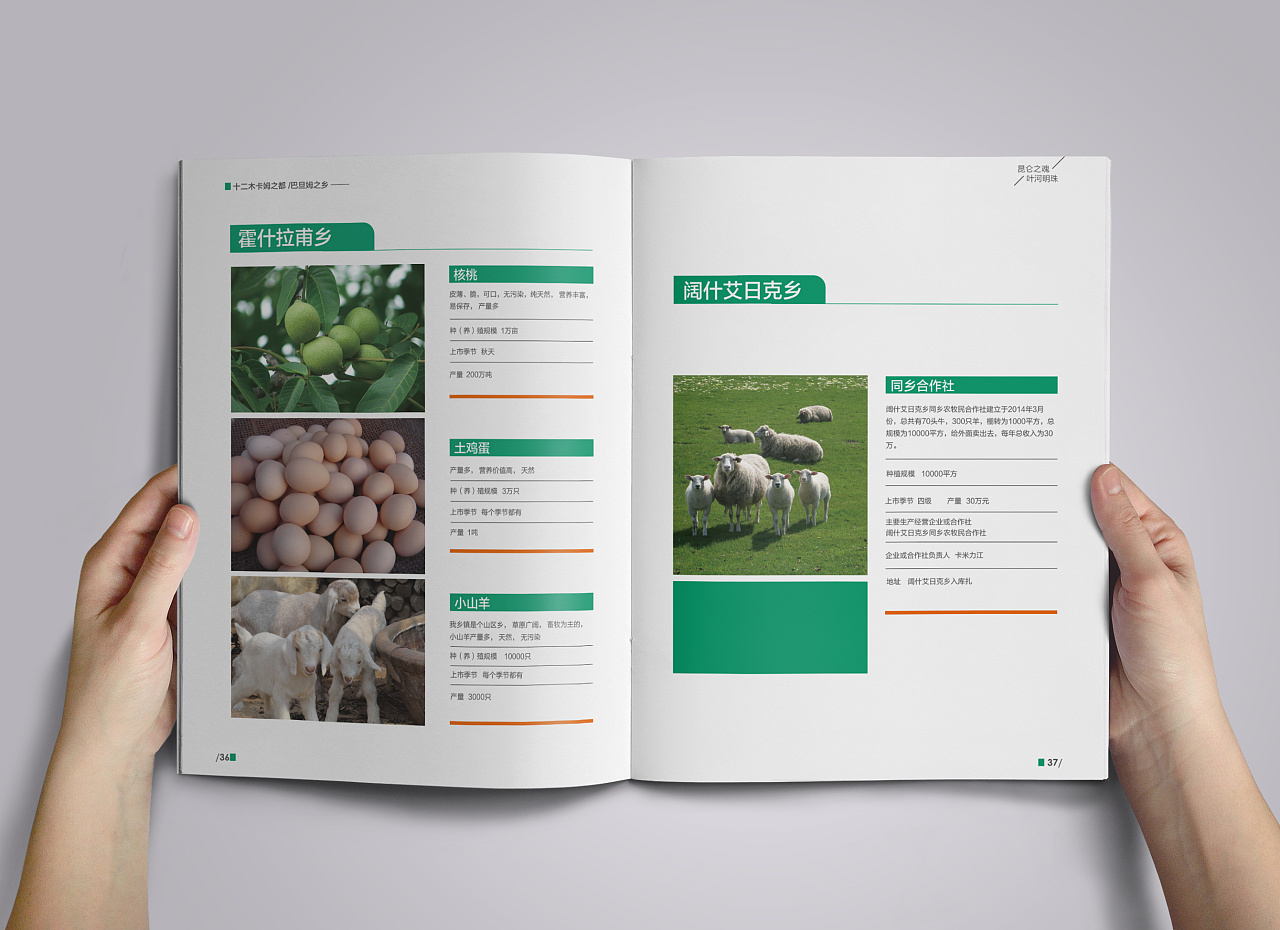 农业|画册