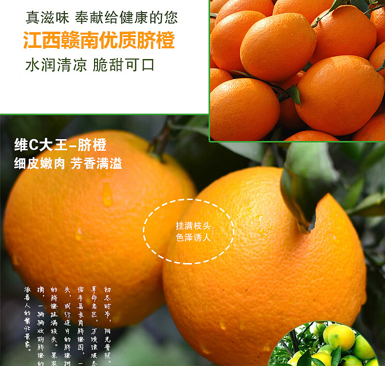 赣南脐橙-天猫详情页（图ZNjQxNDgyNTI=） - 电商 - 站酷设计师Aries丶垚原创素材 - 站酷ZCOOL