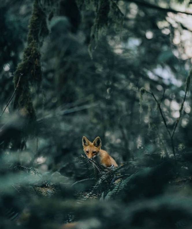 長谷川凜子的個人主頁（封面預(yù)覽） - 主頁封面設(shè)置 - 站酷設(shè)計師長谷川凜子原創(chuàng)素材 - 站酷ZCOOL