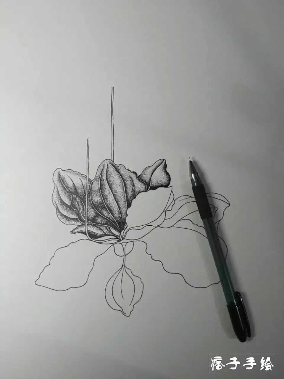 装饰画|纯艺术|绘画|痞子手绘hj_原创作品-站酷zcool