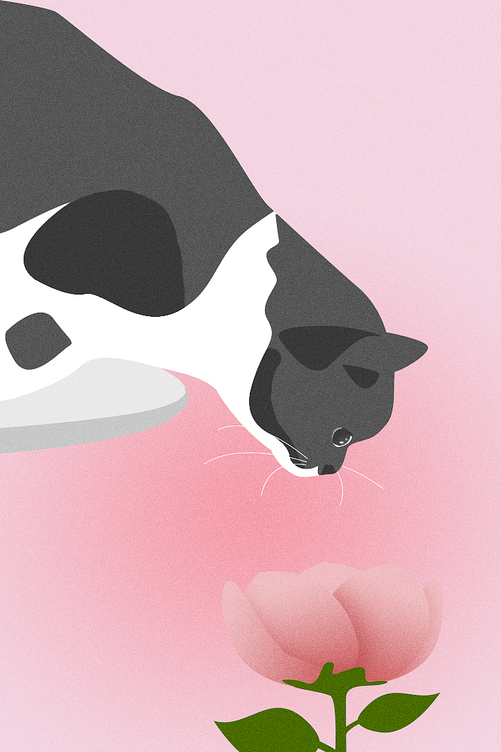 最近一点点猫咪（图ZMjk5Mjk3NjQ4） - 创作习作 - 站酷设计师机智的熊猫原创素材 - 站酷ZCOOL