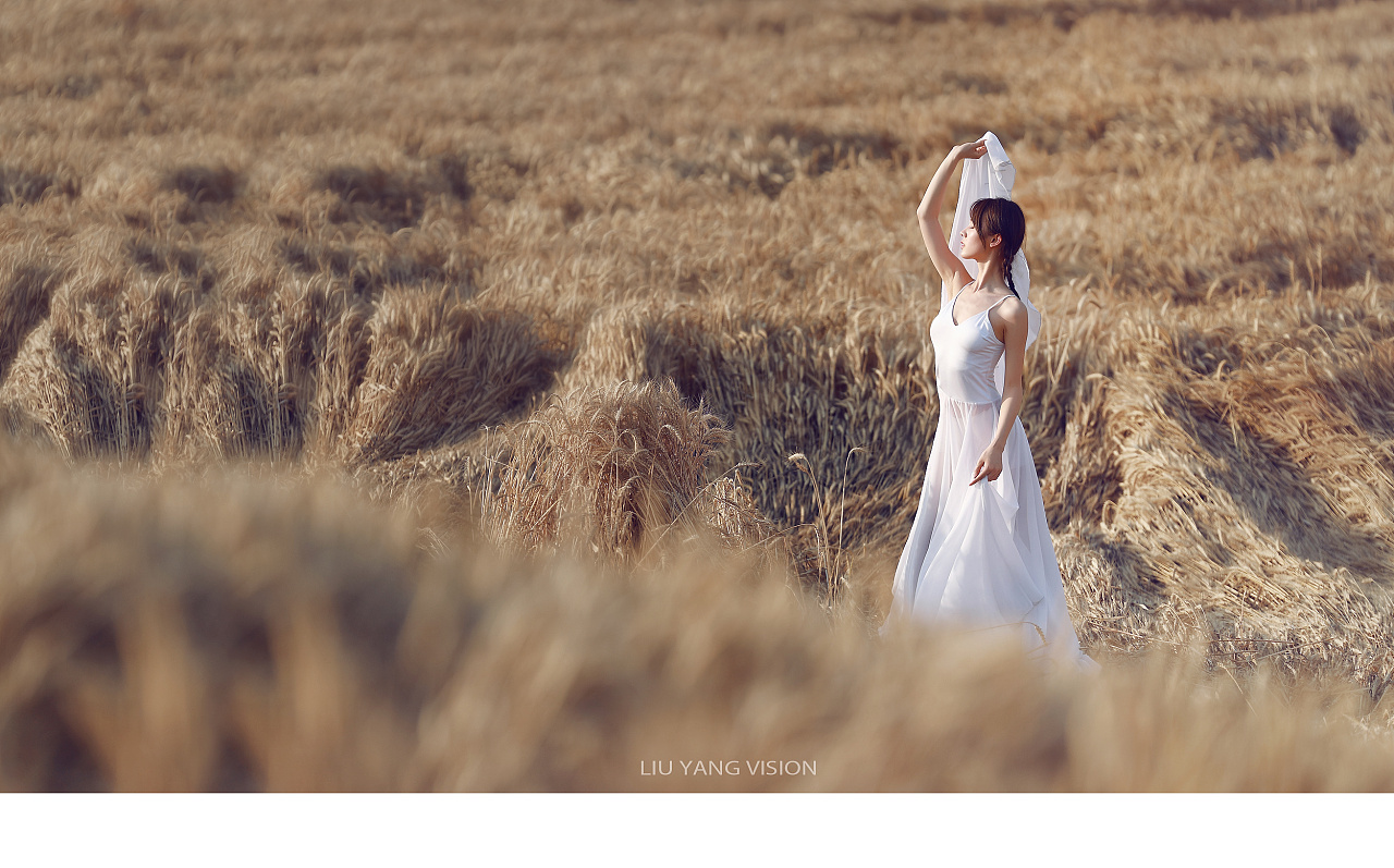【麦田女孩】
