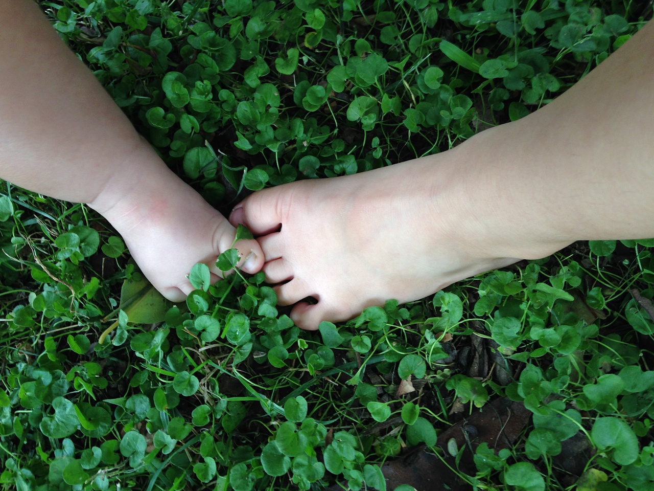 手足之情在这世上从小有个伴多好