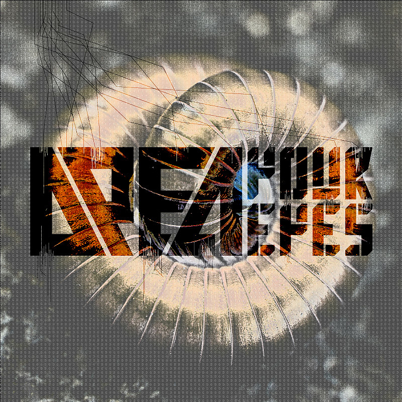 Millipede(千足虫)