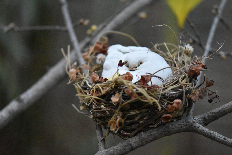 天禽陶艺 胖鸟号称招福鸟