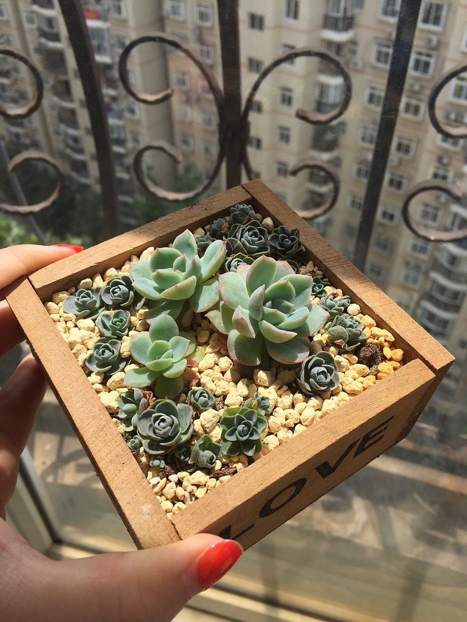 手机随拍汇总（图ZNTMyMjc4MDg=） - 风光摄影 - 站酷设计师嗳菈菈原创素材 - 站酷ZCOOL