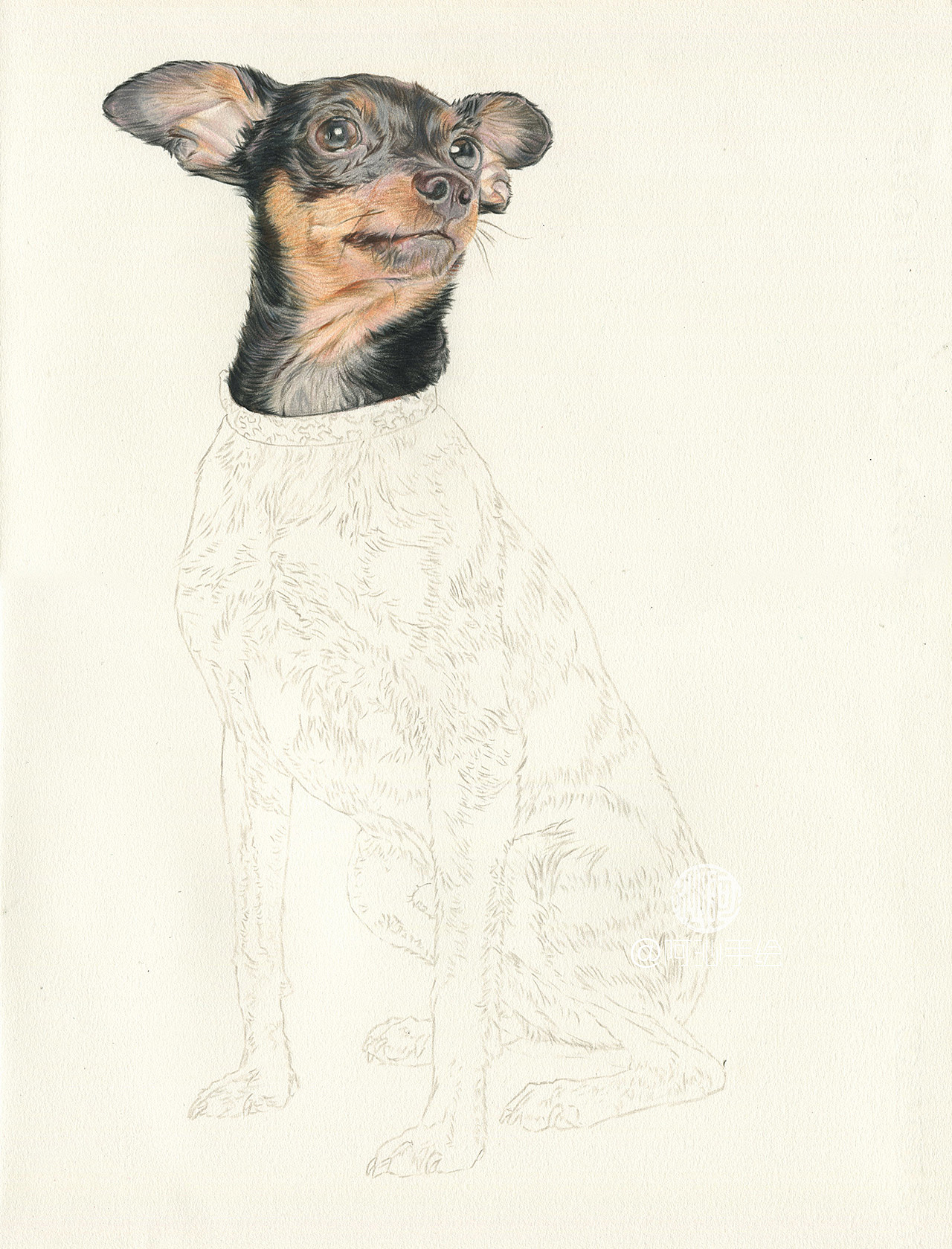 三只小型犬-阿沁作品（图ZMTEwOTYzNzY4） - 绘画 - 站酷设计师煜芮原创素材 - 站酷ZCOOL