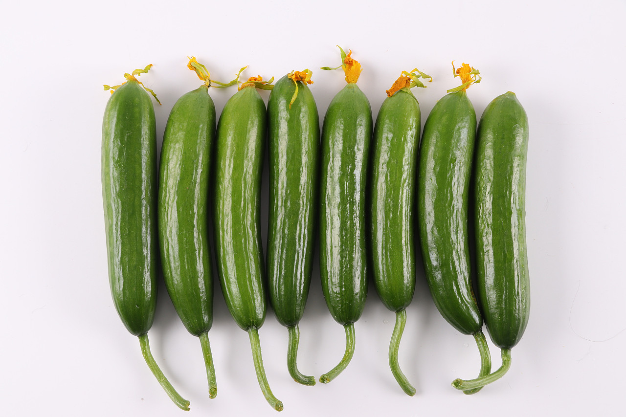 b07水产生鲜c08-新鲜蔬菜v18乳瓜