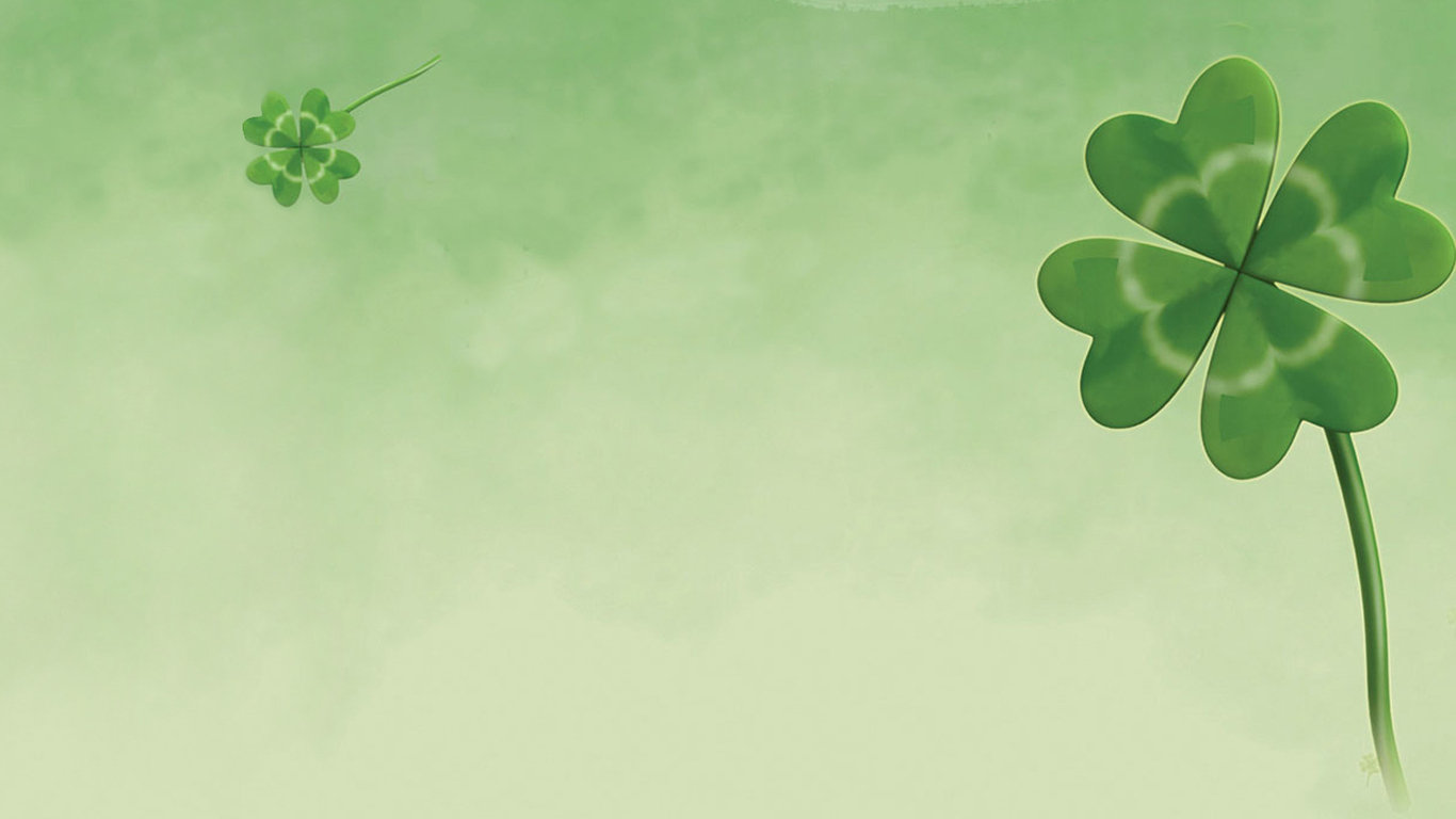 00特立独行的猫