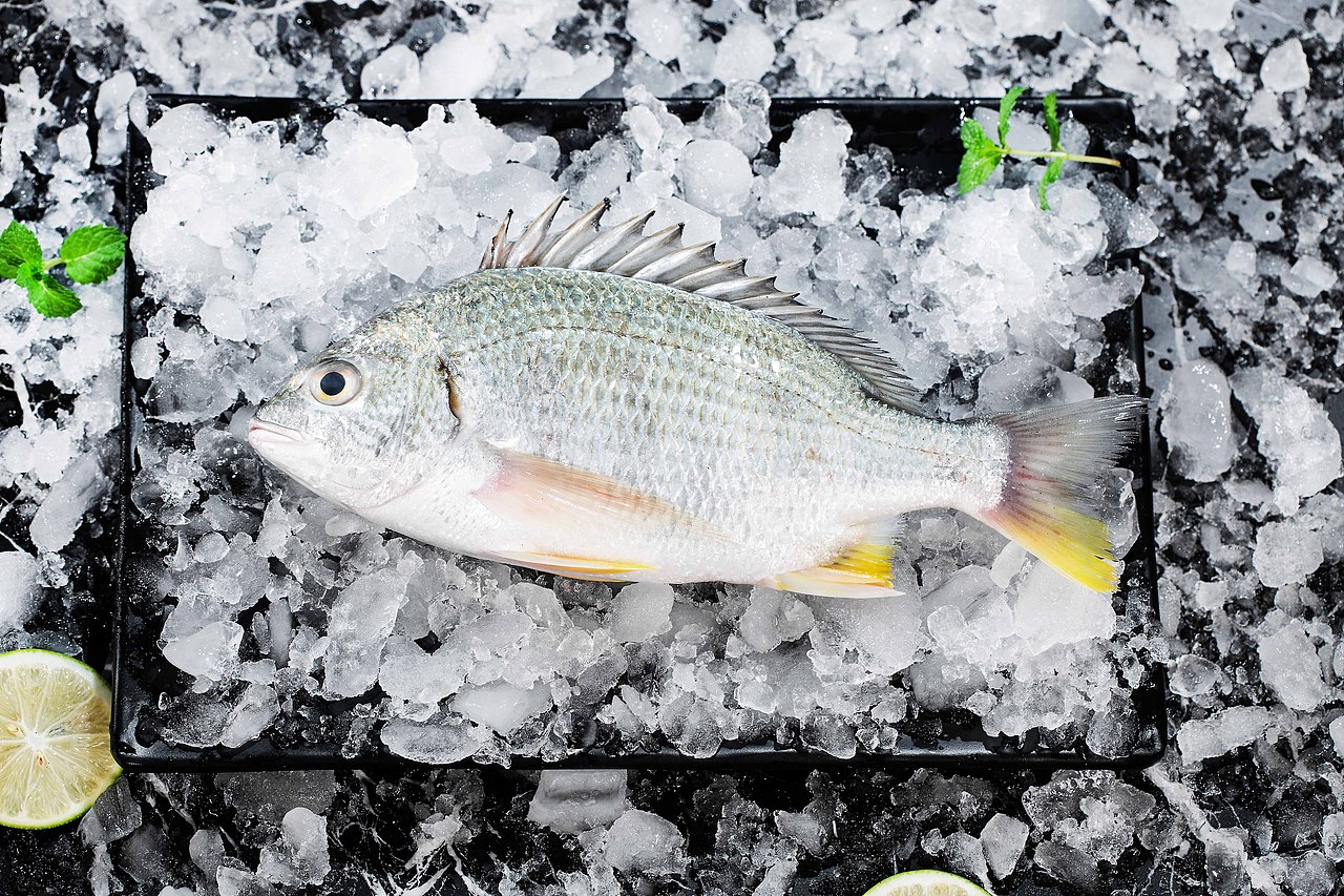 生鲜拍摄 菜品 创意拍摄