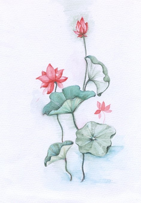 水彩彩铅画（图ZNjUzMjkzNg==） - 创作习作 - 站酷设计师狐狸精小五原创素材 - 站酷ZCOOL