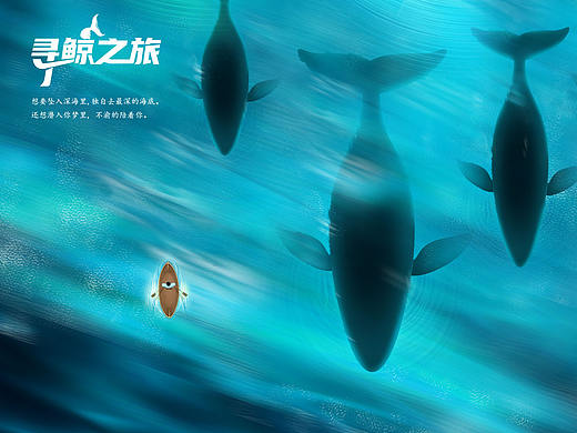 寻鲸之旅