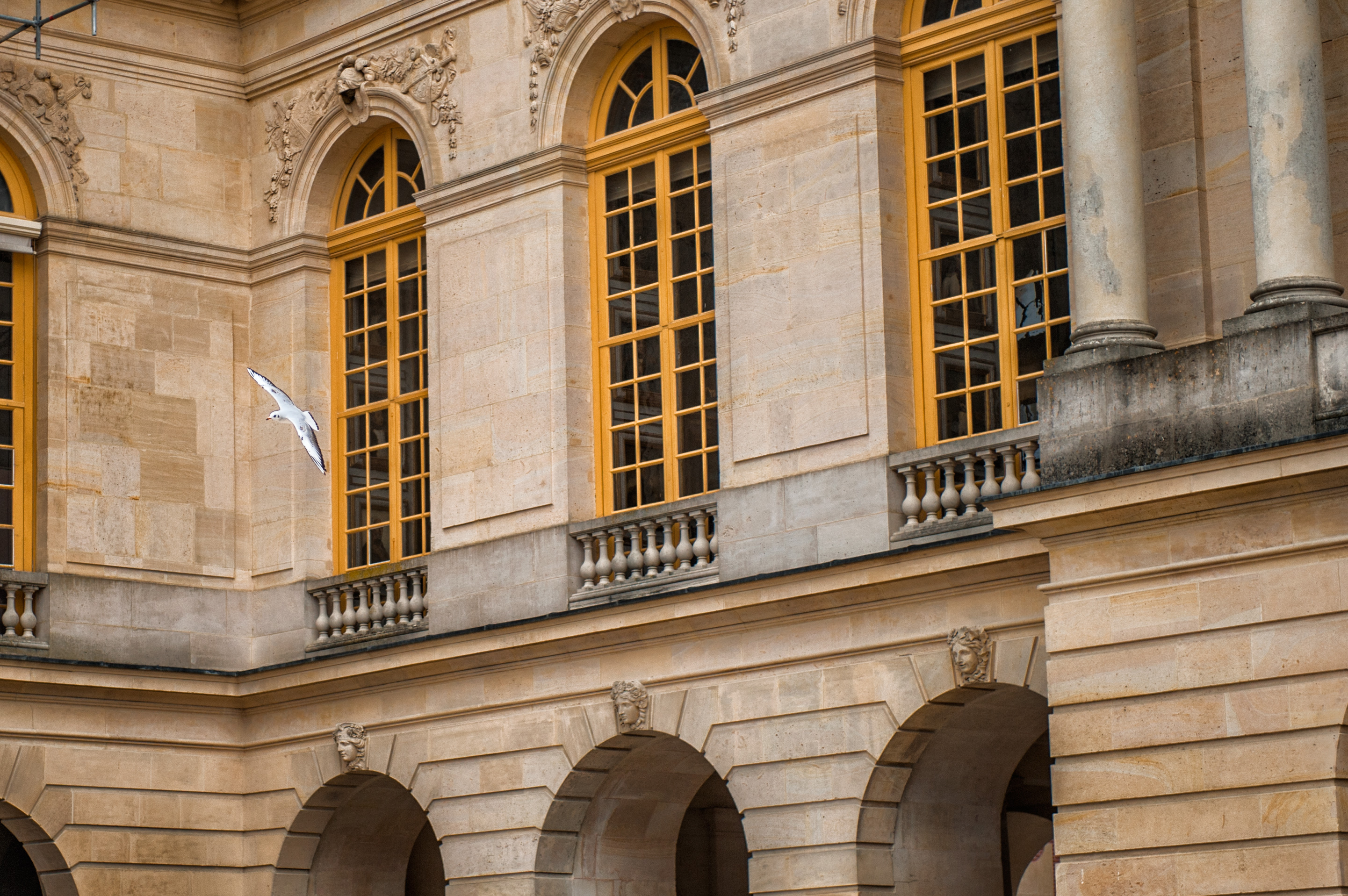 御弟来啦的个人主页（封面预览） - 主页封面设置 - 站酷设计师御弟来啦原创素材 - 站酷ZCOOL