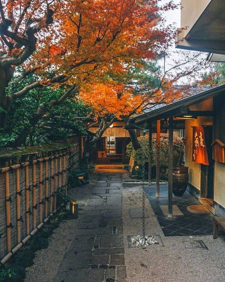 Gage盖奇的个人主页（背景预览） - 主页背景设置 - 站酷设计师Gage盖奇原创素材 - 站酷ZCOOL