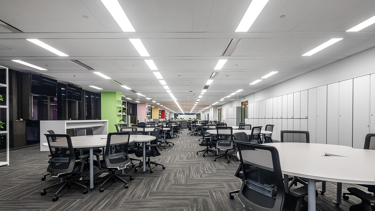 佳能（中国）完工照片