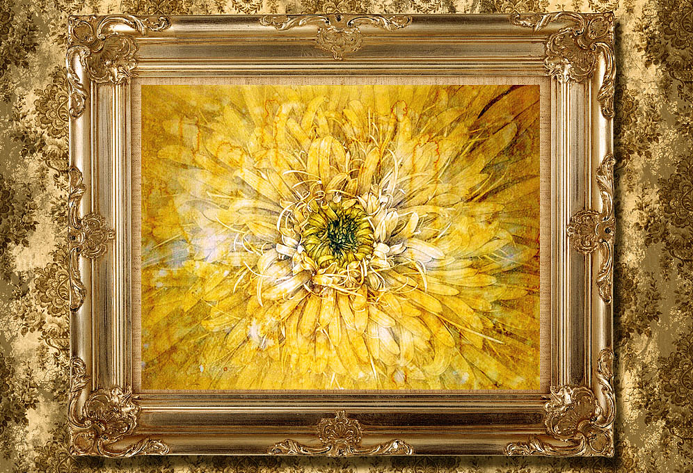 手绘《生命之花》（图ZNTUzNjY3NzI=） - 创作习作 - 站酷设计师你好海燕子原创素材 - 站酷ZCOOL