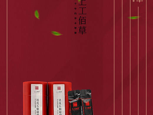 铁皮石斛电子书