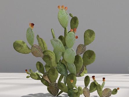 2019年-3d数据可视化视频-部分作品集