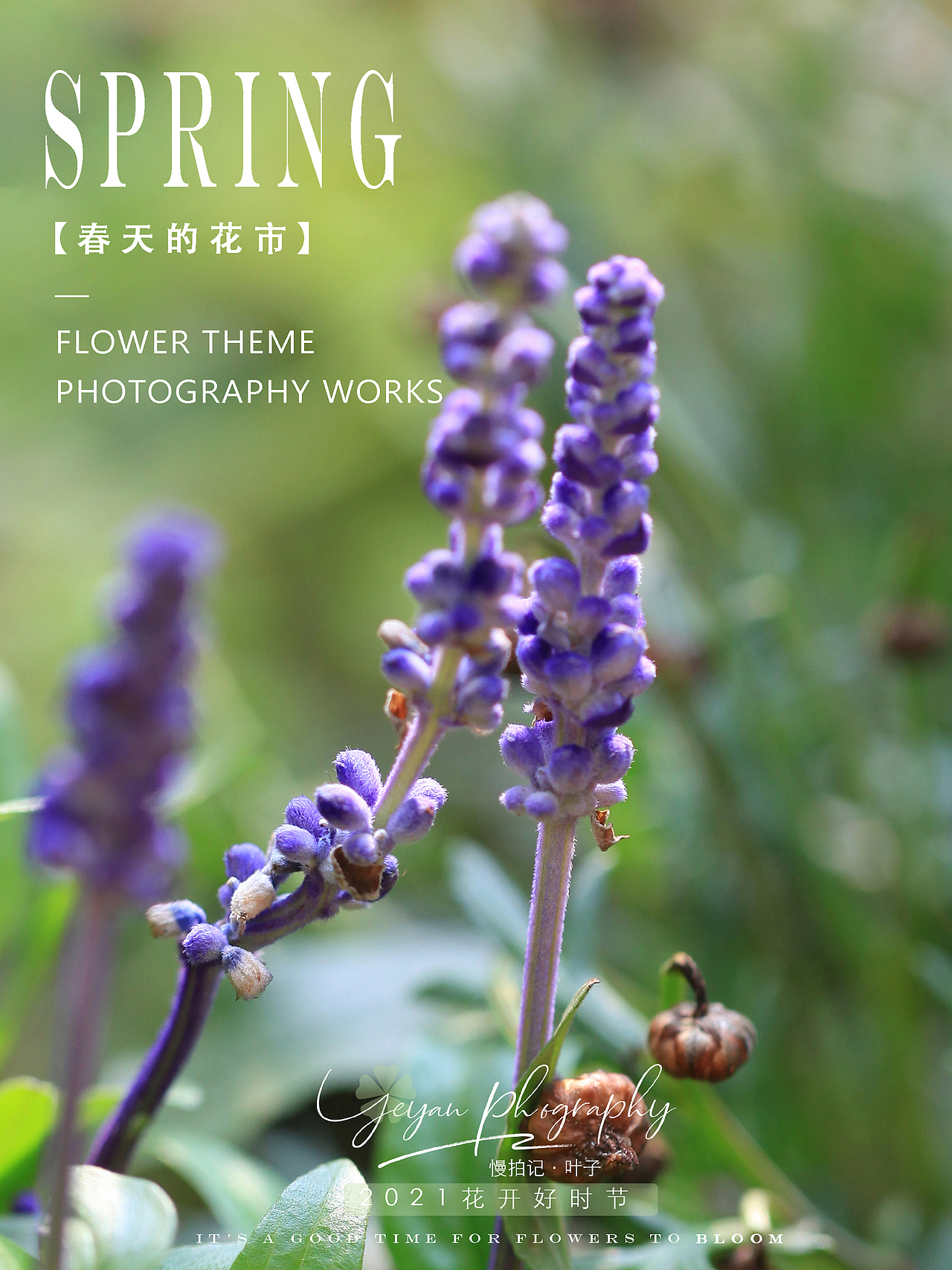 春天的花市（图ZMjQ4NDg1MTIw） - 风光摄影 - 站酷设计师慢拍記一叶子原创素材 - 站酷ZCOOL