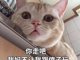 坑坑