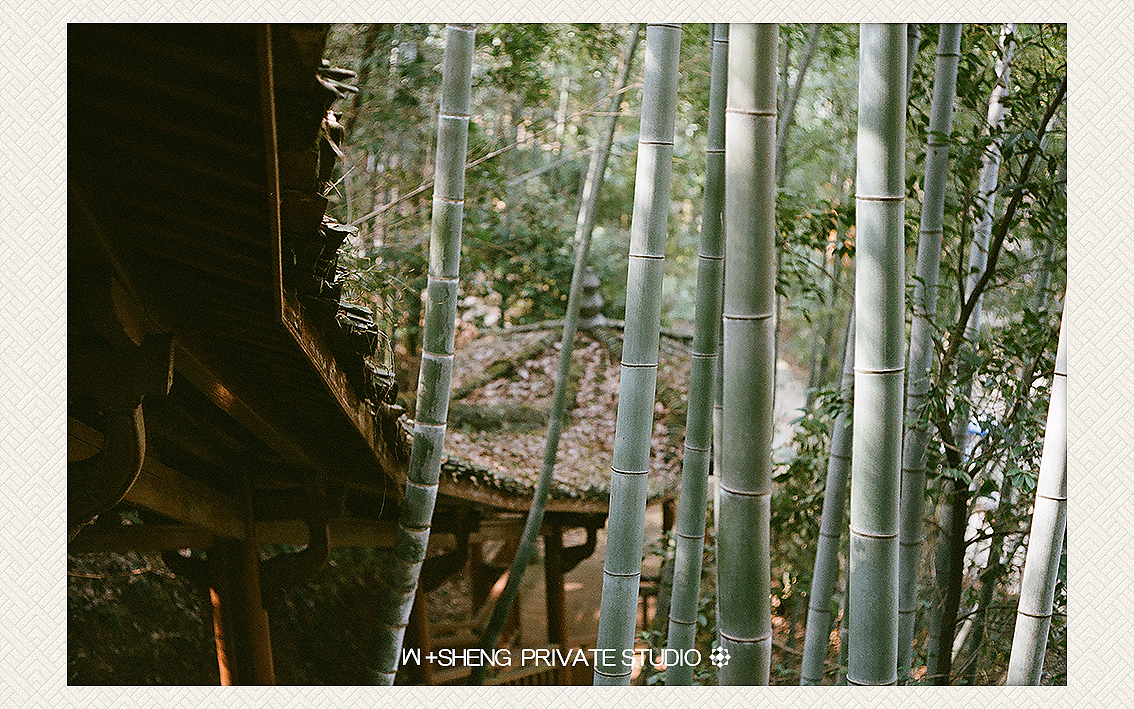 竹子--这一张是在金华的双龙洞拍的-记得是去避暑!