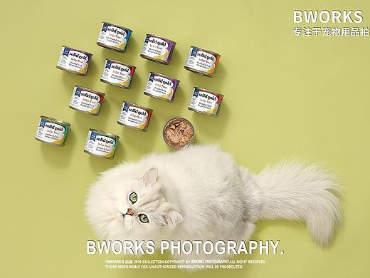 宠物用品拍摄-SOLID GOLD X 宠叔叔传媒