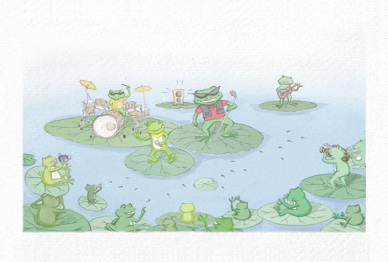 青蛙弟弟与蛤蟆大哥