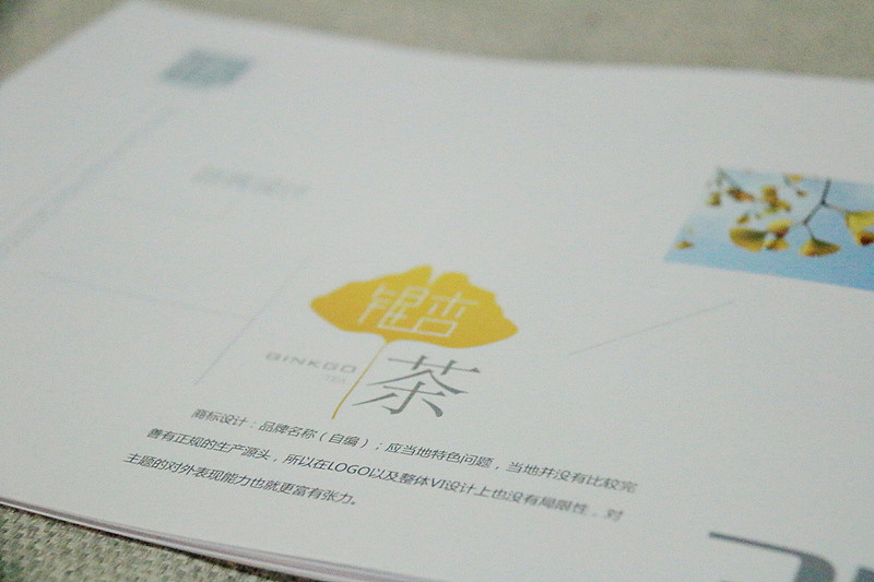 “摄、计、诗”个人概念书籍装帧及周边设计