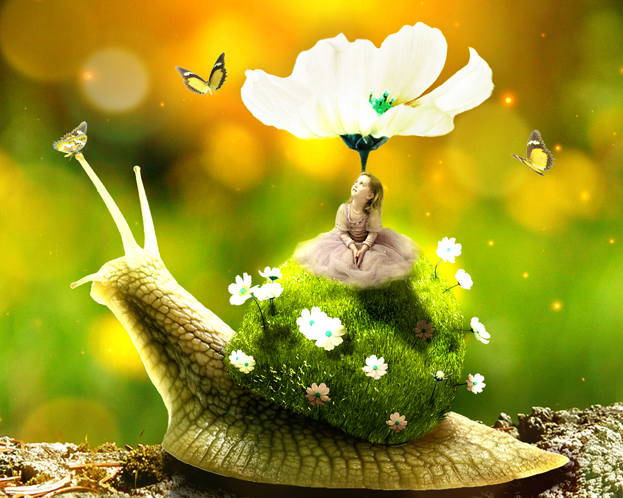 唯美场景望着花朵骑蜗牛的小女孩