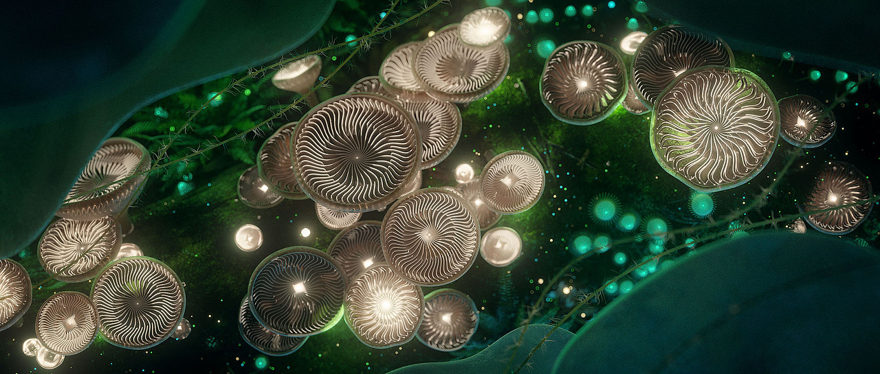 《异种》概念设计（图ZMjU4OTI0Njky） - 场景 - 站酷设计师LQLQ_works原创素材 - 站酷ZCOOL