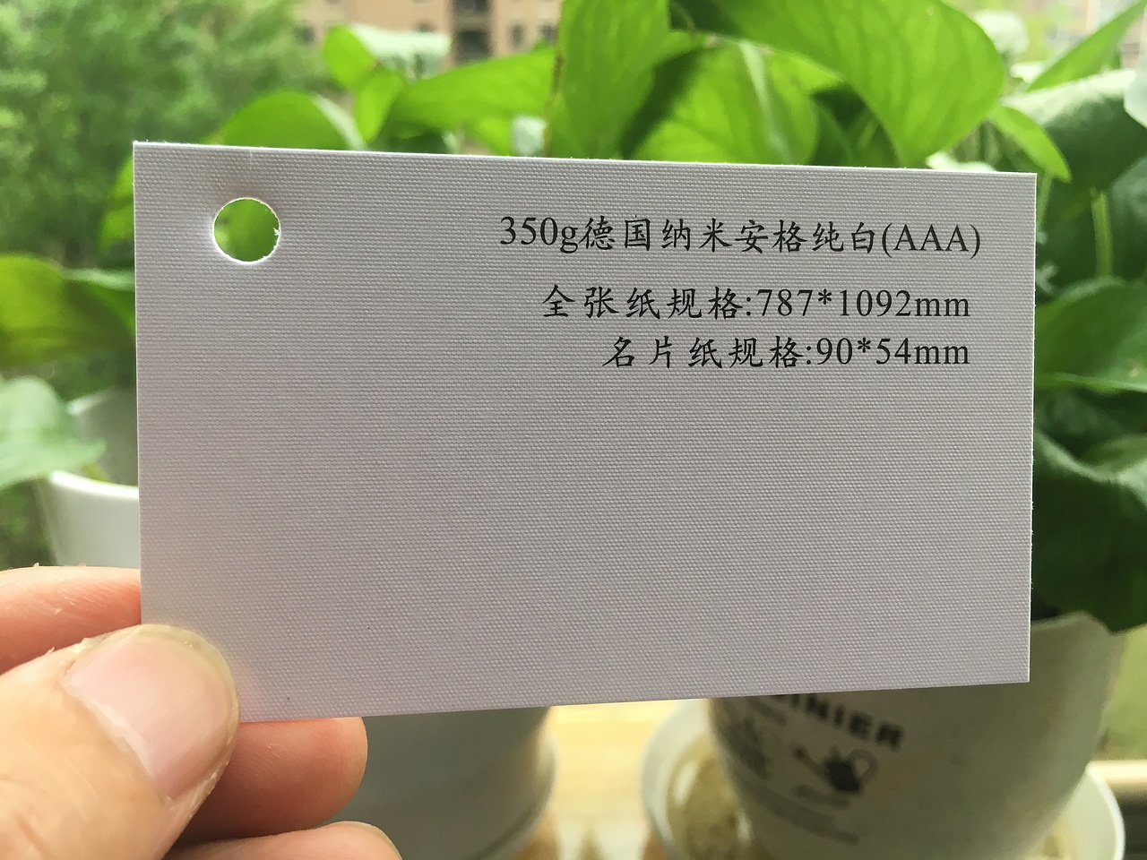 2019款特种纸艺术纸实物展示样册