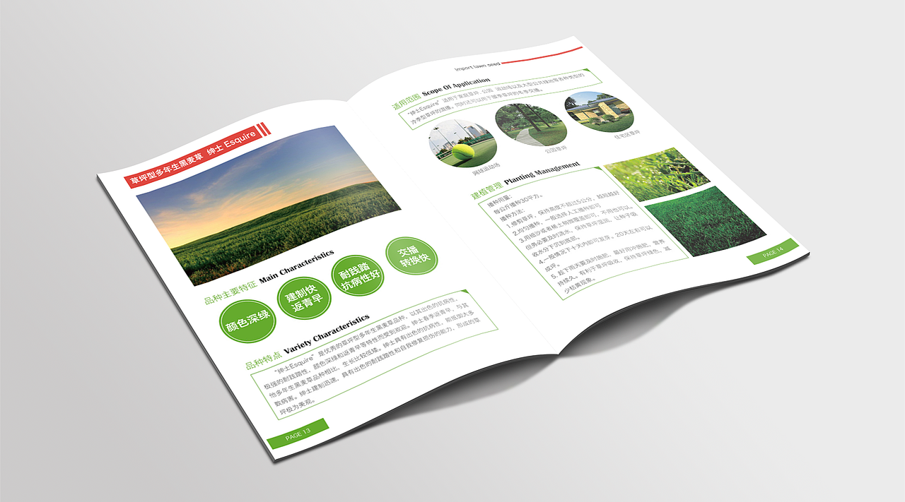 景观草木画册（图ZOTQyMTMwNjg=） - 书籍/画册 - 站酷设计师龙哥哥家小公举原创素材 - 站酷ZCOOL