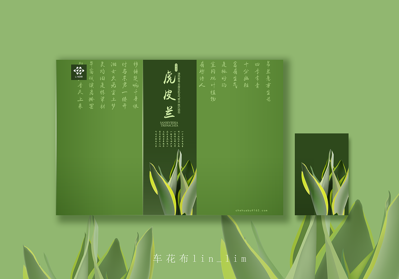 带有生肖名字的中草药（图ZMjA4Mjk5MTc2） - 商业插画 - 站酷设计师lin_lim原创素材 - 站酷ZCOOL