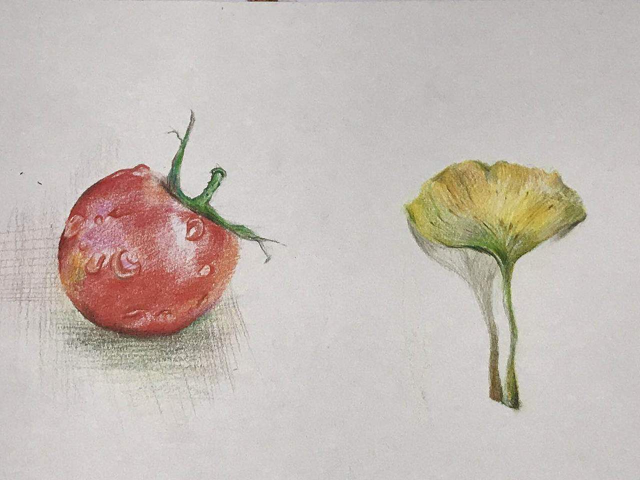 手绘作品（图ZMTE5OTM0OTY0） - 绘本 - 站酷设计师苏打红茶919原创素材 - 站酷ZCOOL