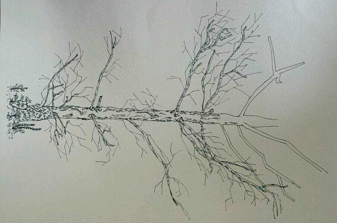 晒晒闲暇手笔，，，（图ZNTExNjQxNjQ=） - 绘画 - 站酷设计师枯藤啊原创素材 - 站酷ZCOOL