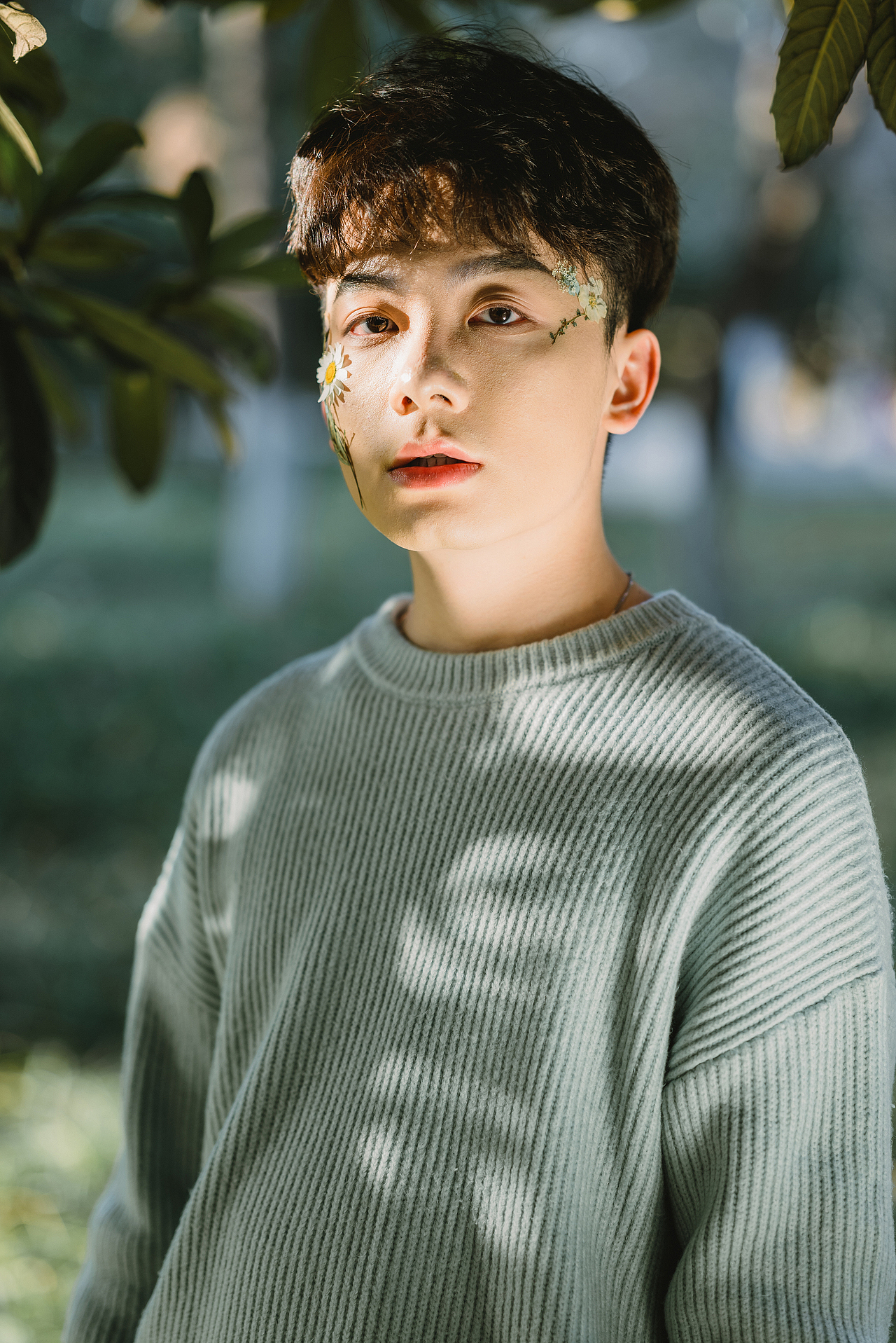 花瓣蝴蝶少年花瓣篇上集