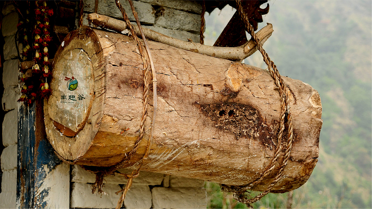 虫趣谷-景区logo设计（图ZMTM3OTYzMzI0） - 品牌 - 站酷设计师Cloth布原创素材 - 站酷ZCOOL