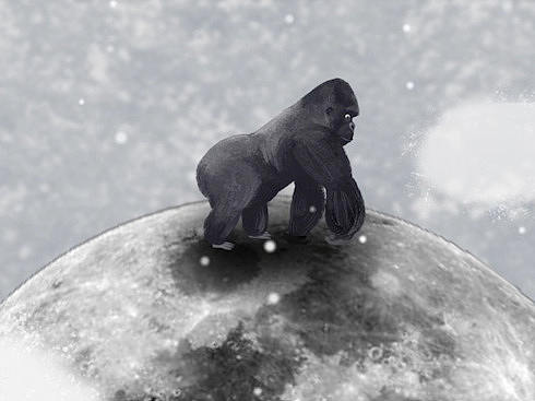 彩色星球 拉片练习（个人主页-ZNTI4Mzc0MDA=） - 短片 - 站酷设计师bey蓓原创素材 - 站酷ZCOOL