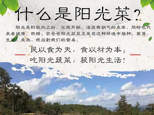 蔬菜宣传海报