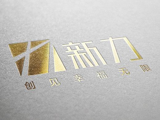 新力地产集团年度服务