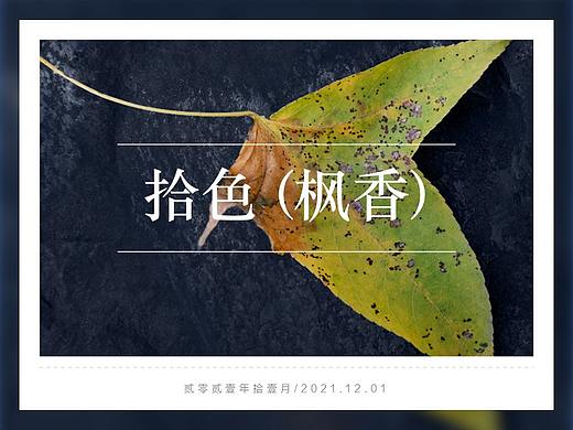色彩（枫香）