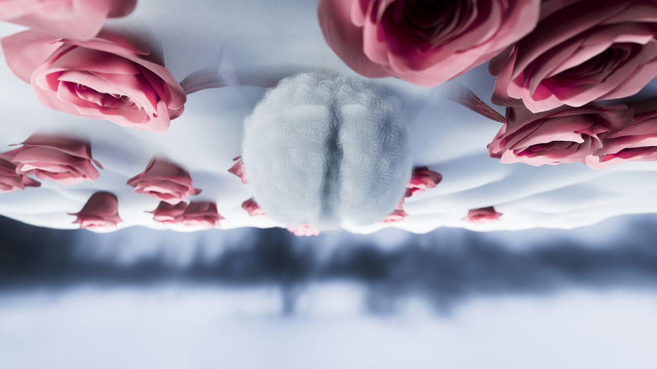 欧迪芬玫瑰纤维面料系列品牌宣传片（图ZMjcwNTU1Njg0） - 动画/影视 - 站酷设计师Rayta_Houdini原创素材 - 站酷ZCOOL